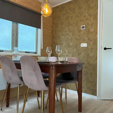 Cozy Wooden De Veluwe With Private Hot Tub Putten