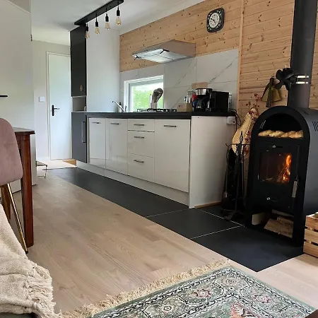 Cozy Wooden De Veluwe With Private Hot Tub Holiday home Putten