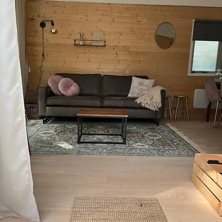 Cozy Wooden De Veluwe With Private Hot Tub Putten